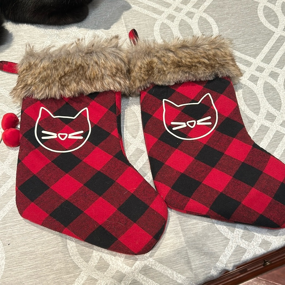Xmas stockings socks for you kittens. 2